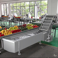 T/H commercial industriel CXJ-10 automatique de machine de nettoyage de fruit 5-10 Surf-dactylographiez la machine à laver végétale