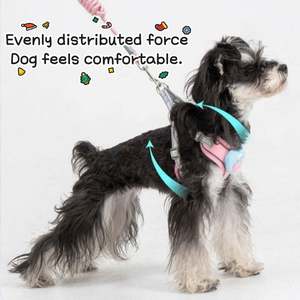 Nuevo Conjunto de Arnés y Correa para Perro 2025, Arnés de Malla Suave Antitirones, Chaleco Reflectante Ajustable para Cachorros, para Perros Pequeños, Medianos y Grandes - Product Image 4