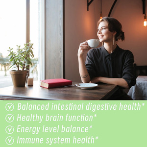 Cápsulas de Hongos ODM OEM con Mezcla de Extractos de Hongos Naturales que Favorecen la Salud Digestiva, la Función Cerebral, la Energía y el Sistema Inmunitario - Product Image 3