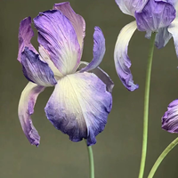 T-FT042 Op maat gemaakte papieren kunst Iris gigantische bloem voor bruiloft, huisdecoratie, winkelpresentatie, feestdagen, evenementen en feestdecoratie