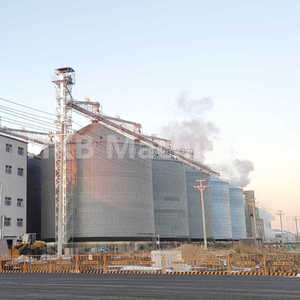 Silo de Acero Galvanizado en Caliente de Gran Capacidad con Fondo de Tolva para Almacenamiento de Granos, Arroz y Malta, Vida Útil de 25 a 40 Años - Product Image 3