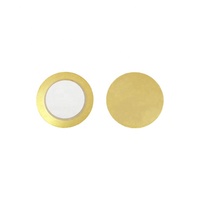 Modèle populaire : Élément céramique piézoélectrique fin 20 mm 20T15*0.3 mm, buzzer piézo pour imprimantes et jouets