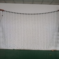Cortinas LED