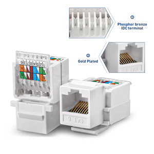 2-Port Cat 6 Ethernet Keystone Coupler <span class=keywords><strong>RJ45</strong></span> tấm Tường nữ để nữ Plug-in tương thích Cat6 Ethernet kết nối phụ kiện - Product Image 4
