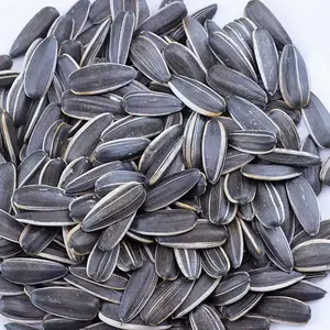 New Crop Private Label Sunflower Seeds 361 363 Sunflower seed Kernels Black Strip Sunflower Seeds for Birds