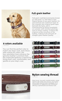 Collier pour chien en cuir gravé sur mesure, robuste, avec quincaillerie en acier inoxydable 304, accessoires pour animaux de compagnie en gros, fabrication sous marque privée