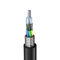 Câble à fibre optique monomode GYTA PE à 48 fibres pour extérieur, aérien et en conduit, avec certifications CE/ROHS/ISO9001 et éléments de renforcement en FRP/acier