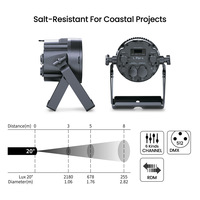 Projecteur LED extérieur L Par 5 IP65 5x20W RGBL avec contrôle DMX512, température de couleur 2700-6500K, résistant à la corrosion du sel, garantie 3 ans