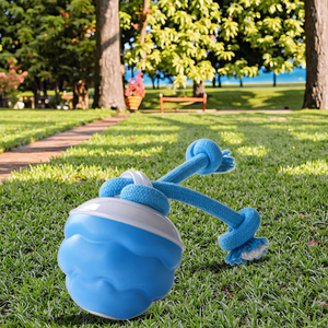 Новая Роскошная Современная мультяшная электрическая игрушка для жевания собачий шарик умный шарик с скрипучим звуком веревка интерактивная игрушка для движения домашних животных - Product Image 3