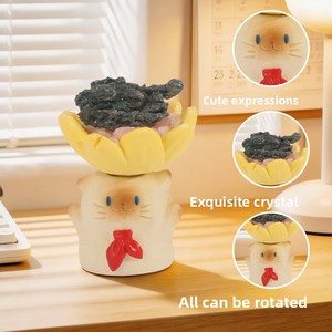Figura <span class=keywords><strong>de</strong></span> acción <span class=keywords><strong>de</strong></span> resina Dream Cat giratoria, flocada, <span class=keywords><strong>de</strong></span> cristal, linda, mini, <span class=keywords><strong>de</strong></span> <span class=keywords><strong>anime</strong></span>, <span class=keywords><strong>figuras</strong></span> <span class=keywords><strong>de</strong></span> acción, juguetes <span class=keywords><strong>de</strong></span> caja sorpresa, venta al por mayor, personalizada - Product Image 4