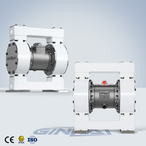 Bomba de Diafragma GK DN25 PTFE para Transferência Química com Motor a Ar em Aço Inoxidável para Galvanoplastia e Tratamento de Superfície - Product Image 2