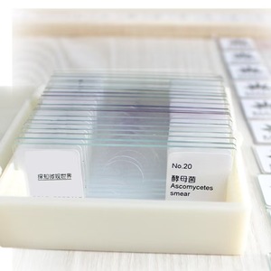 Giáo dục Nguồn cung cấp 20 loại vi khuẩn vi trùng Microbe chuẩn bị Kính hiển vi Slide cho giảng dạy Tài Nguyên - Product Image 3