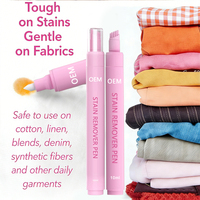 Stylo détachant portable double tête pour taches d'huile sur textiles et chaussures