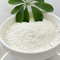Poudre d'hydroxyde de calcium (chaux) pure à 99,5 % de l'usine Hongyu pour applications chimiques