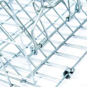 Métal sans cruauté grand vivant sauvage coyote <span class=keywords><strong>écureuil</strong></span> lapin raton laveur chien Cage piège <span class=keywords><strong>renard</strong></span> Animal piège chat sauvage piège Cages à vendre - Product Image 3