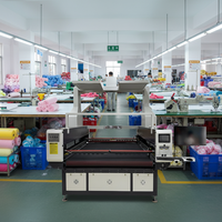 Machine de découpe laser textile numérique automatique à grande vitesse CO2 avec double tête