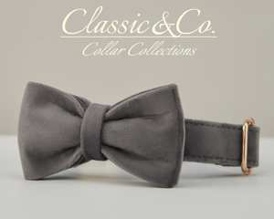 Ensemble collier et laisse pour chien personnalisé gris foncé Veet, nœud papillon, gravure personnalisée du nom de l'animal, boucle en métal, cadeau d'anniversaire pour chiot, livraison gratuite - Product Image 4