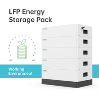 Batería de Iones de Litio LiFePO4 BENY Híbrida con Comunicación CAN/RS485, 5kWh 100AH 200AH 48V/51.2V, Almacenamiento de Energía Solar