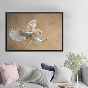 Barn Owl <b>Canvas</b> Art: Before Attack, Animal Wall Decor Print,BLACK <b>FRAMED</b> <b>CANVAS</b> - Product Image 3