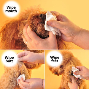 <span class=keywords><strong>Lingettes</strong></span> jetables pour animaux domestiques <span class=keywords><strong>lingettes</strong></span> nettoyantes bio pour chien chat oreille propre toilettage chien <span class=keywords><strong>lingettes</strong></span> humides OEM Shanghai nettoyage 15*18cm - Product Image 3