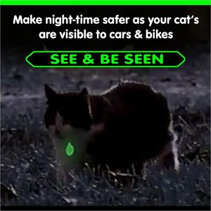 Glow in the Dark Green Dog Tag Round Pet Tag Engrave Lights Lace Animal Fashion Silicone Collar Luminous <b>Ring</b> for Small Animals - Product Image 5