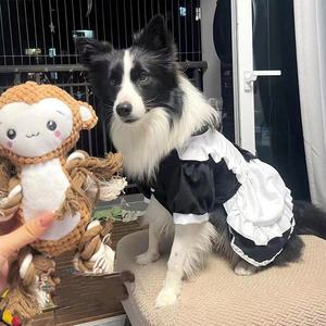 थोक मध्यम बड़े 3xl कुत्ते स्कर्ट नौकरानी कपड़े गोल्डन रिट्रीवर प्रीमियम पालतू पोशाक - Product Image 3