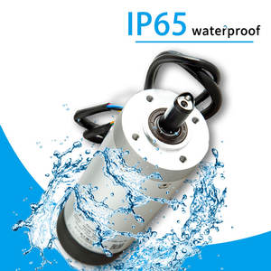 24โวลต์ Dc มอเตอร์0.5นาโนเมตร59มิลลิเมตรเซอร์โวมอเตอร์สำหรับสวิงแขนประตูที่มีตัวเข้ารหัสที่เพิ่มขึ้น - Product Image 5