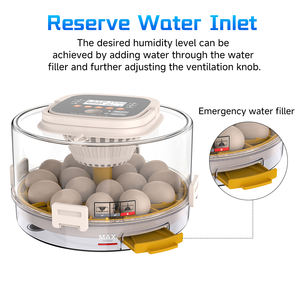 Incubateur automatique personnalisé pour 18 œufs de poule/canard, taux d'éclosion élevé avec équipement de réfrigération et d'échange de chaleur pour animaux de compagnie - Product Image 4