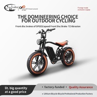 Batterie au lithium 48V hybride électrique gros pneu vélo large cadre en aluminium tout-terrain 750W puissance du moteur vitesse maximale numéro de modèle 48V