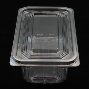 Kotak Makanan Plastik Transparan Persegi Panjang dengan Tutup untuk Sushi, Kue Kering, Kue, & Hewan Peliharaan - Product Image 3