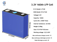 E-V-E Lf160 3.2v 160h जीवन बैटरी सेल 3500 + चक्र 1c निरंतर 2c पीक डिस्चार्ज