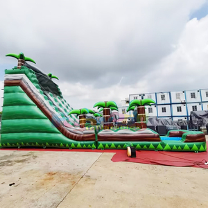 Giant Indoor/Outdoor Party <b>Inflatable</b> Water Slide for Adults with Swimming Pool Toboggan Shopping Mall Use 500kg Capacity - Product Image 2