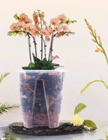 Pot Bunga Plastik Transparan Resin, Pot Anggrek Multi Lubang, Pot Tanam Bernapas, Pot Bunga Transparan untuk Tanaman