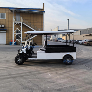 Carrito de Golf Eléctrico Personalizado de 2 Personas, 72V, con Plataforma de Carga y Características de Camioneta, Hecho en China - Product Image 2