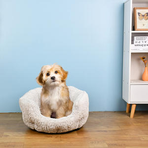 Cama para perros para todas las estaciones, cama cálida de felpa de terciopelo de peluche para gatos, cómoda para perros pequeños y grandes, diseño de cama para perros, productos para perros - Product Image 1