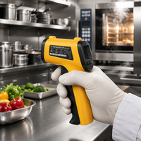 Thermomètre infrarouge numérique BQ2503, mesure de température sans contact au laser, matériau plastique, personnalisable OEM, outil industriel