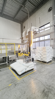 Robot de palettisation robuste à 4 axes de type colonne pour sacs tissés en PP, avec pince à fourches pour sacs en polypropylène