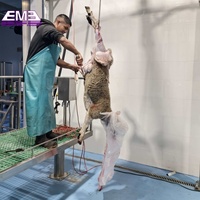 Équipement d'abattage de moutons EME : Ligne complète de production d'abattage de moutons utilisée dans les abattoirs, fabriquée à Qingdao, Afrique