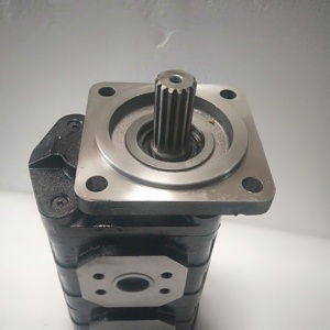 Pompe à piston hydraulique ZHENYUAN Série P25 P25X178B1R717-7BRS12-1 Pompe à double engrenage - Product Image 4