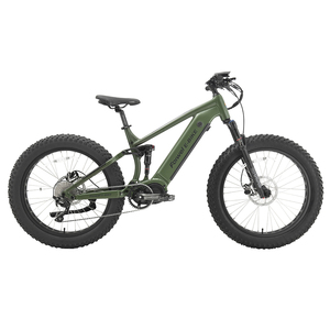 Bicicleta Eléctrica con Llantas Gruesas para EE. UU., Llantas de 26*4.5, 1000 Vatios, Bicicleta de Montaña, Batería Grande, Suspensión Completa, EF-TR01-MD - Product Image 1