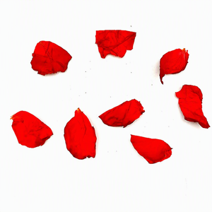 Vente en gros de pétales de rose séchés de haute qualité, prix raisonnable, emballage personnalisé, service OEM, pétales de rose rouge double, 2026 - Product Image 2