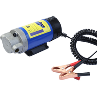 Mini pompe d'extraction de liquide essence/huile OEM 12V 100W pour l'industrie automobile avec tuyaux, siphon électrique