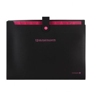Tùy Chỉnh Nhựa Mở Rộng A4 Tập Tin Thư Mục Pocket Thư Mục Giữ Tài Liệu Lưu Trữ Di Động Bag Tổ Chức Tập Tin - Product Image 4