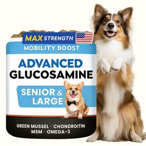 Glucosamine pour chiens seniors et grands chiens, formule avancée pour la mobilité, avec moule à lèvres vertes, chondroïtine, MSM et oméga-3, disponible en stock OEM - Product Image 6