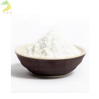 Extrait de papaye Carica de haute qualité à 99 %, poudre lyophilisée d'enzyme papaïne pour hydrolysat de protéines