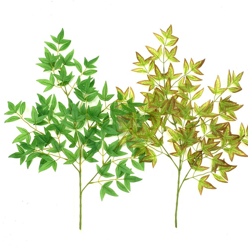 Feuille de couleur différente