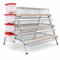 Cages à poules pondeuses de qualité supérieure, neuves, automatiques, de type A, à 3 niveaux, en acier galvanisé, avec plancher en maille sécurisée pour les poussins