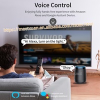 Interruptor Inteligente Wifi de 2 Canales, Temporizador DIY Ewelink 7-32V 2.4G Wifi RF433, Módulo de Automatización del Hogar para Alexa, Google Home, IFTT