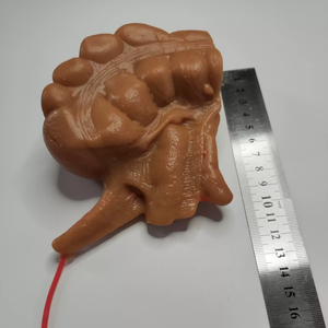 Kyrenmed 3D Ruột Thừa mô hình với 2mm hoặc 5mm mô phỏng mạch máu nội soi phẫu thuật đào tạo mô phỏng - Product Image 5