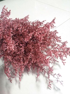 ธรรมชาติ Caspia ดอกไม้ที่เก็บรักษาไว้ <span class=keywords><strong>Limonium</strong></span> - Product Image 3